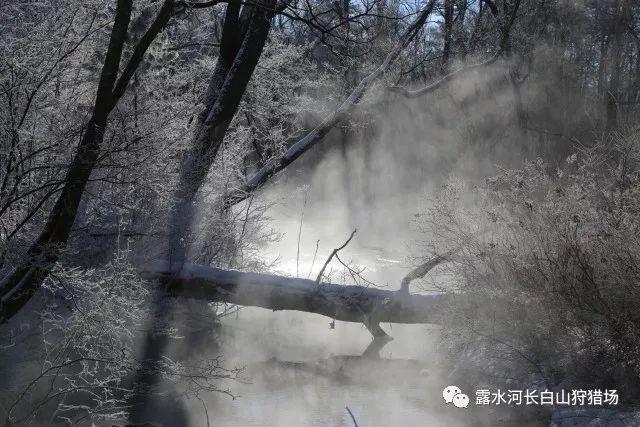 探索公公全款购买的婚房儿媳离婚有份吗?红迪网,发现独特视角!