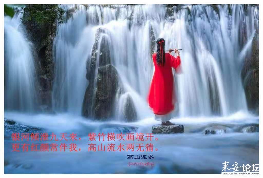 机智问答网页-提供聪明解答的我家大门对着厕所门,请问如何破解平台