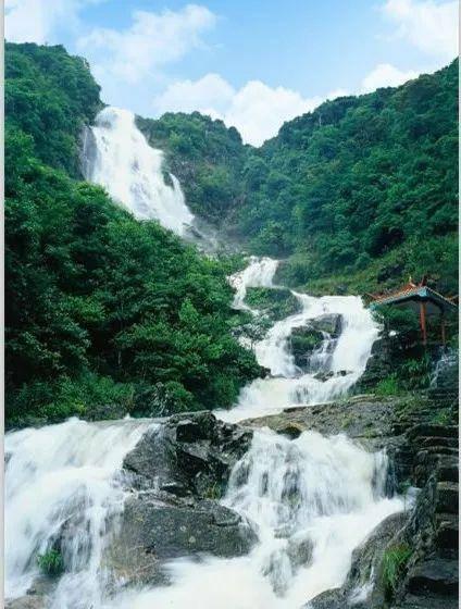全民剧本大师内置菜单